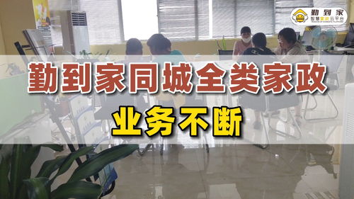 家政服務平臺怎么做 勤到家同城全類家政